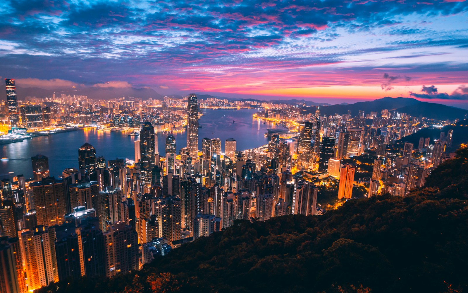 从高处俯瞰香港维多利亚港与密集的城市天际线。